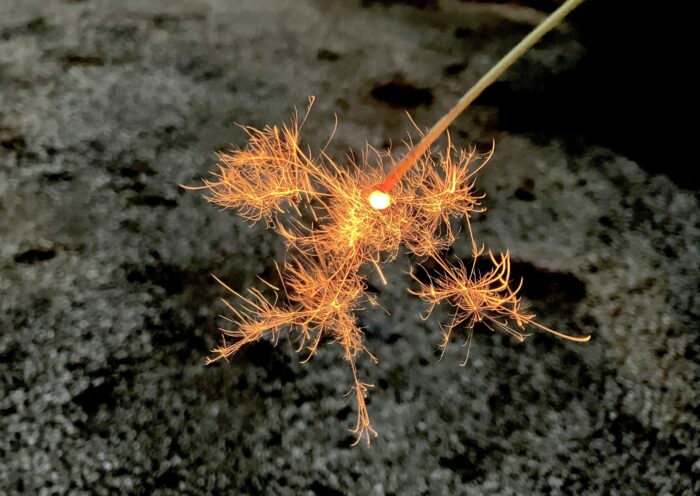 Senko Hanabi, Japan’s delicate summer sparkler glowing in the night