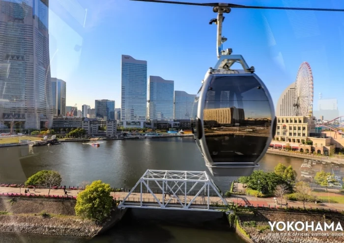 featureimgitem1746 1