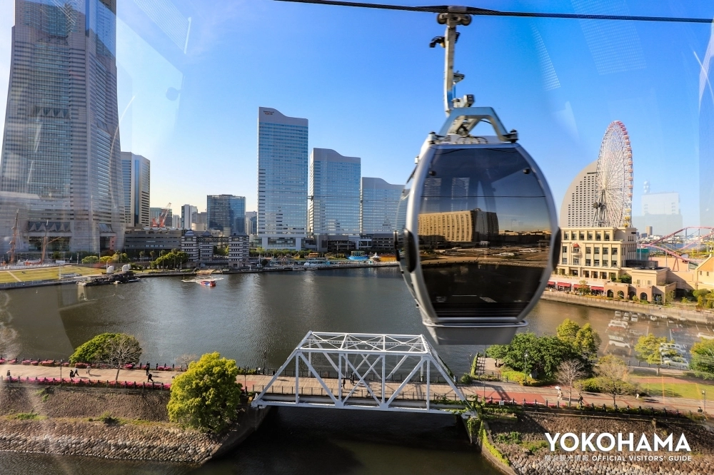 featureimgitem1746 1